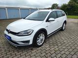 Volkswagen Golf VII 2,0TDi Var/ Alltrack/AHK/Standhzg - mit Diesel-Antrieb: Alcantara, Sitzbelüftung