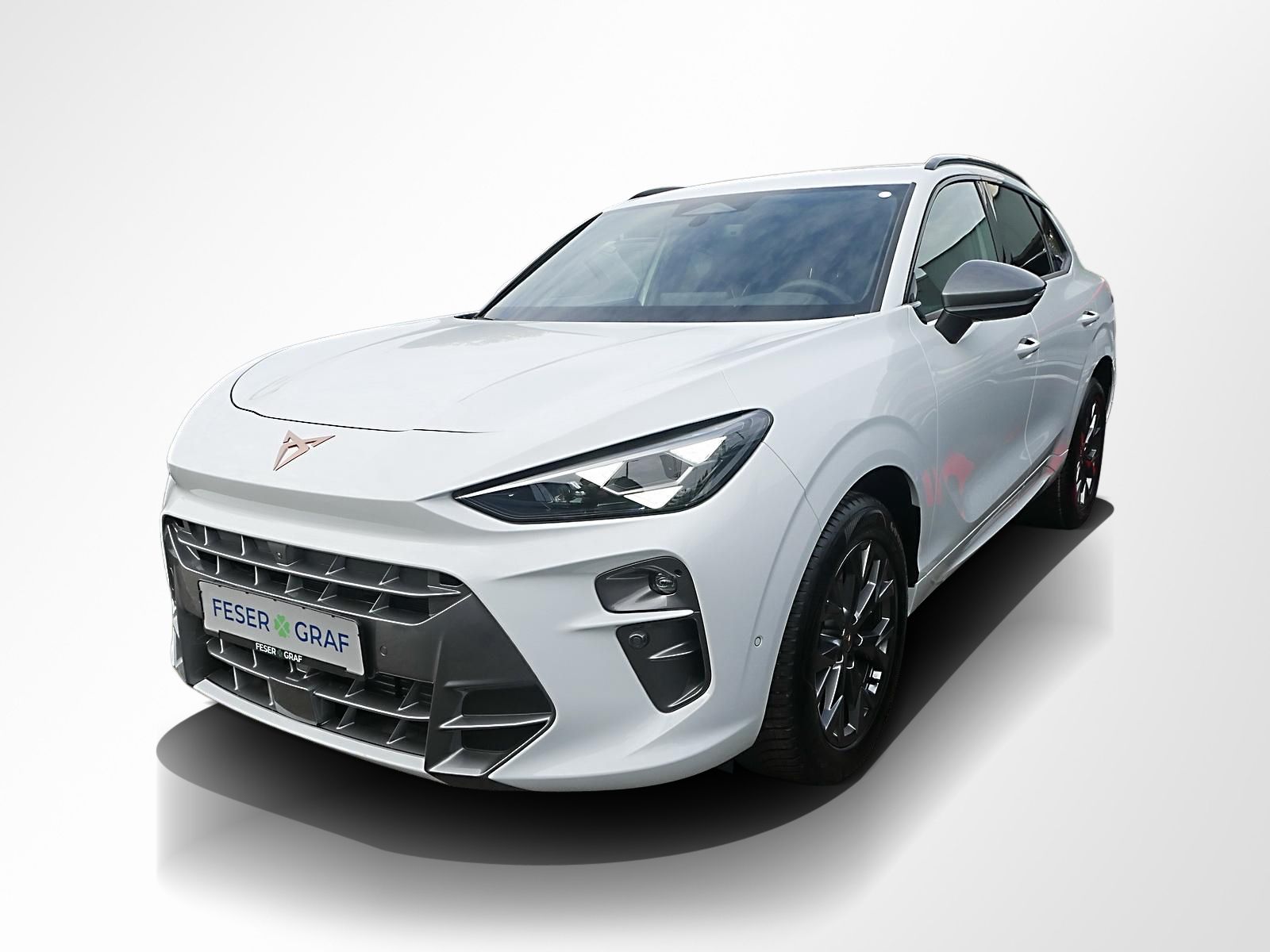Cupra Terramar - Bild 14