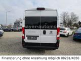Fiat Ducato Luxusbus Panorama L2H2*9-Sitze*Kamera*DAB - Fiat Ducato: Luxusbus Panorama