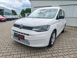 Volkswagen Caddy 2,0TDI ACC LED Leder  1,Hand MwSt. Ausweis - Volkswagen Caddy: 1.2