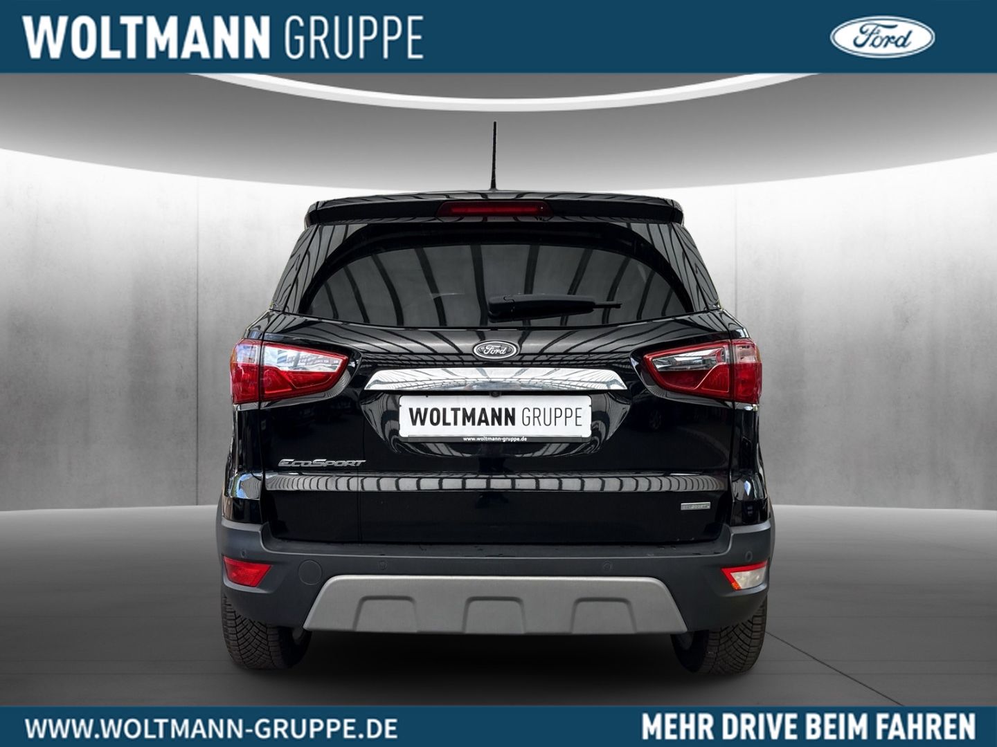 Fahrzeugabbildung Ford EcoSport Titanium X Kamera Ganzjahresreifen Wint