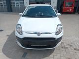 Fiat Punto 1.4 8V,SZH,ZAHNR.ERN,ALLWETR/SERV/TÜVNEU - Fiat Punto: Limousine