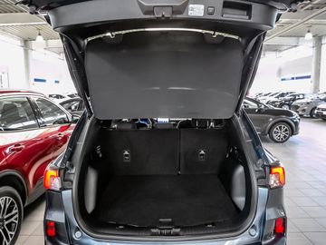 Ford Kuga 2.5 Hybrid ST-Line Fahrassistenz-Paket