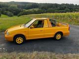 Skoda Škoda Felicia pickup fun Einzelstück Historie - Skoda Felicia Gebrauchtwagen