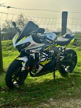 Triumph Daytona 660, Top Zustand. Sehr viel Zubehör - TRIUMPH DAYTONA 660