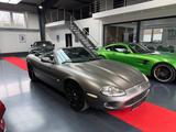 Jaguar XK8 Cabriolet 4.0 V8 2HD/Leder/Klimaauto - Jaguar XK: Cabrio, 4.2