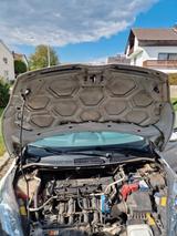 Ford Fiesta 1,25 60kW Trend Trend - Ford Fiesta aus 2010: 1.6