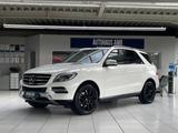 Mercedes-Benz ML 250 CDI BlueTec 4MATIC Schiebed. Spurh.Kamera - Mercedes ML-Klasse mit Anhängerkupplung