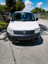 Fiat Panda 1.1 ACTIVE / HU-AU NEU / wenig ... - Fiat Panda Gebrauchtwagen in Augsburg