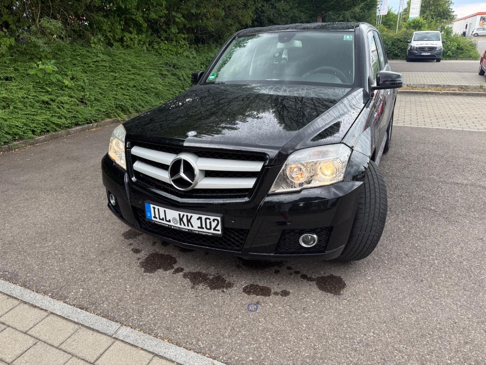 Mercedes-Benz GLK220 2009 — rear view