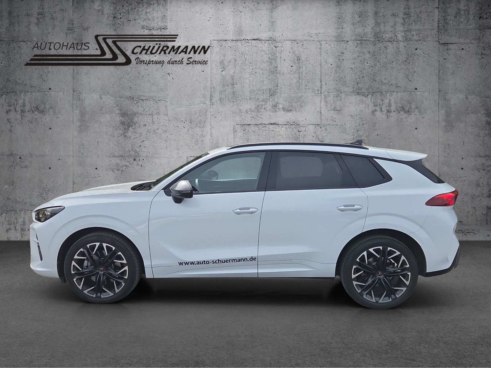 Terramar 2.0 TSI 150kW DSG 4Drive RFK AHK