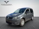 Volkswagen Caddy Kasten/Kombi Roncalli Trendline - Volkswagen Caddy: Roncalli Trendline