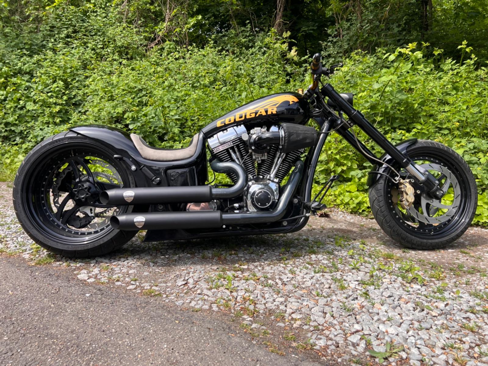 Harley-Davidson Cougar Hardcore Dragstyle