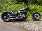 Harley-Davidson Cougar Hardcore Dragstyle - HARLEY-DAVIDSON DRAG