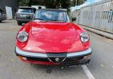 Alfa Romeo Spider Cabrio - gebrauchte Alfa Romeo Spider aus dem Jahr 1988