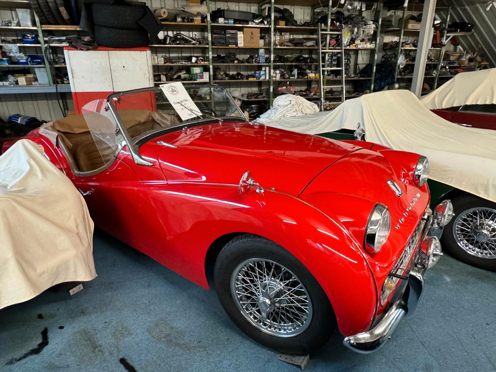 Triumph TR3