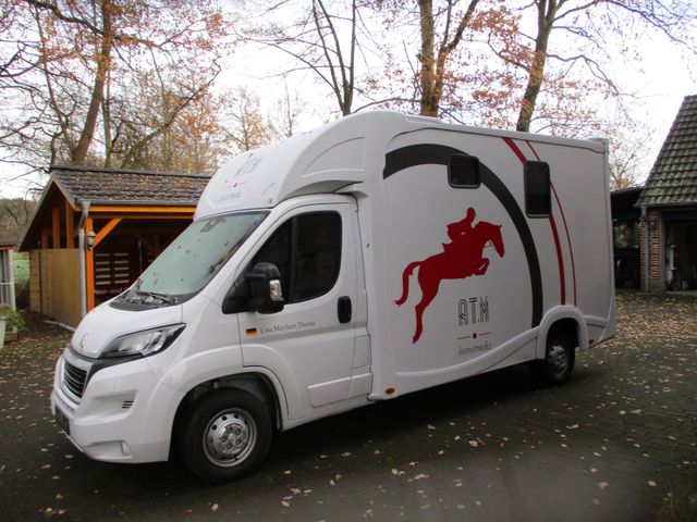 Peugeot Boxer mit Aufbau ATM Hengstausstattung