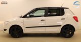 Skoda Fabia 1.2 69PS Cool Edition Servo Klima ZV  - Skoda Fabia aus 2012