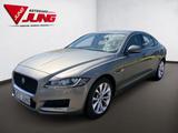 Jaguar XF 20t Portfolio *NAVI*SITZ-HZ.*KAMERA - Jaguar Gebrauchtwagen
