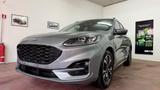 Ford Kuga 2.0 EcoBlue Hybrid 150 CV 2WD St Line  - Ford Kuga Hybrid (Diesel/Elektro)
