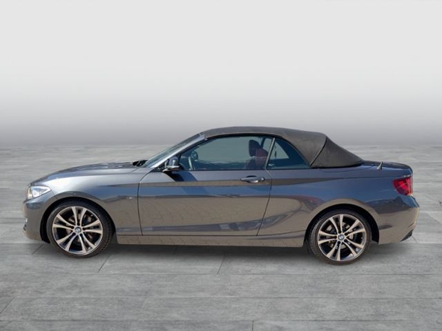 220i CABRIO LINE LEDER XENON REAR VIEW SPORT FW