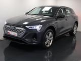 Audi Q8 e-tron 55 quattro advanced |Matrix|Luft|LED - Jahreswagen