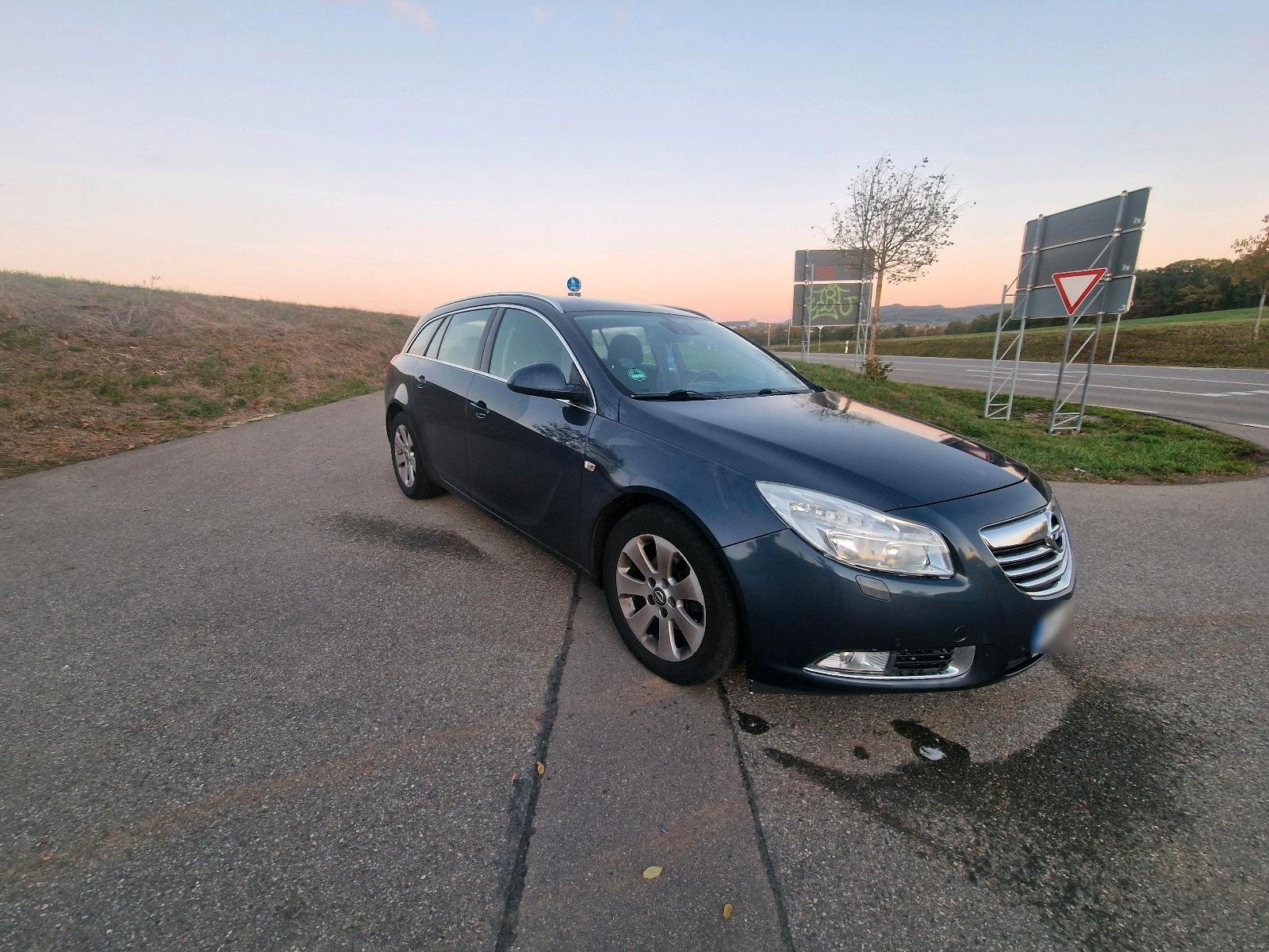 Opel Insignia 2009 — rear view