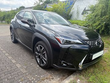 Lexus UX - 8