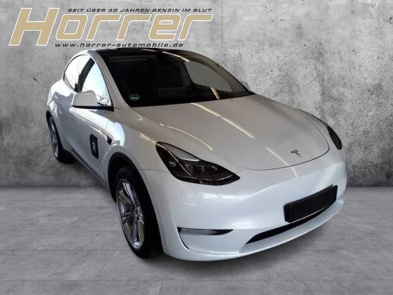 Tesla Model Y LongMax Range Dual AWD A.Pilot