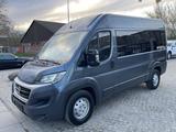 Fiat Ducato 35 Panorama L2H2 1Hand*Klima*Tempomat* - Fiat Ducato mit Diesel-Antrieb: Kombi