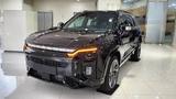 Ssangyong KGM ACTYON 2WD 6MT SH KLIMA PDC LED NAVI T - Ssangyong Actyon Gebrauchtwagen
