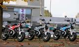Honda DAX ST 125 mit Tageszulassung 2024 Aktion - HONDA DAX 125