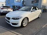 BMW 218 2 Cabrio 218 i Luxury Line - BMW 2er Reihe in Köln