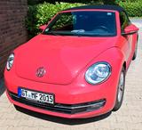 Volkswagen VW Beetle Cabrio 1.4 TSI Rot - Volkswagen Beetle in Bielefeld