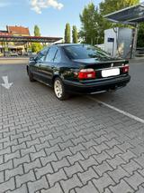 BMW 525i E39 | Business Paket | Frische HU... - BMW 525: E39
