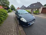 Fiat Punto 1.2 8V Active Active - Fiat Punto: Active