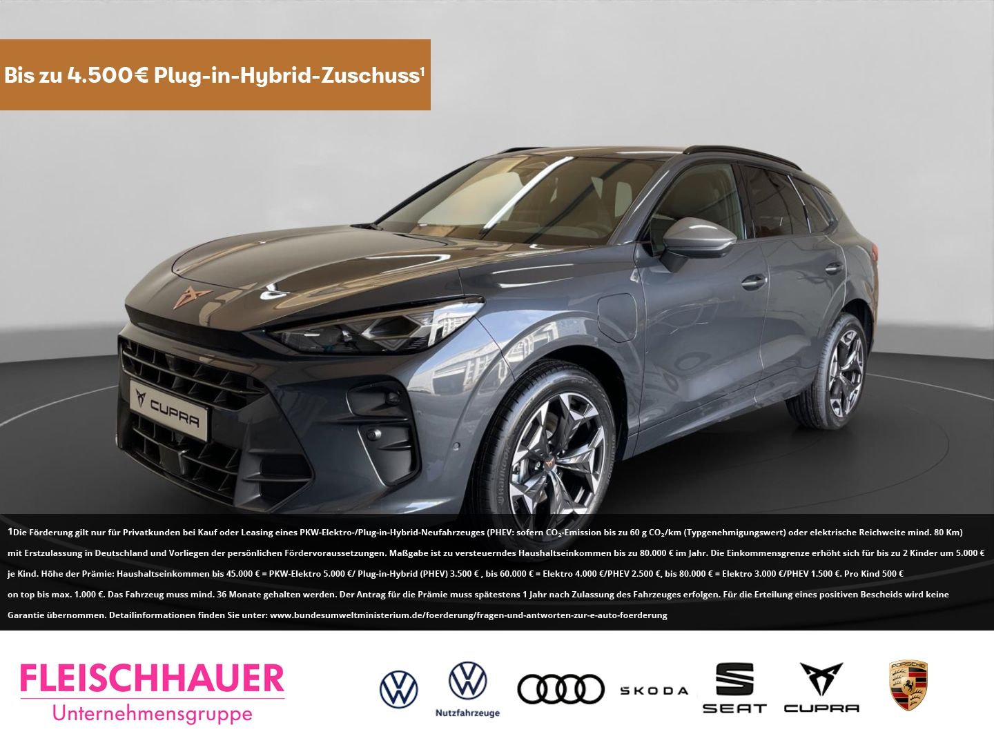 Cupra Terramar 1.5 e-HYBRID BusinessPlus Matrix 19Zoll
