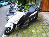 Honda  Integra NC750 DCT ABS ASR weiß (A2/48PS) Koffer - HONDA ROLLER INTEGRA