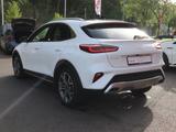 Kia XCeed 1.6 T-GDI Platinum Sitzbelüftung Totwinkel - Kia XCeed Gebrauchtwagen