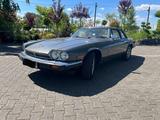 Jaguar XJS-C, Oldtimer, sehr selten - Jaguar XJSC in Bonn