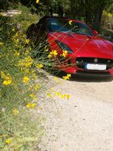 Jaguar F-Type R, Heckantrieb, Voll, 2. Hand, Scheckheft - Jaguar F-Type Unfallwagen
