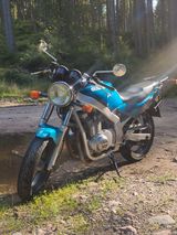 Suzuki GS 500 E - Angebote entsprechen deinen Suchkriterien