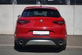 Alfa Romeo Stelvio 2.0 B-Tech Q4 Klimaaut. Sitzheizung Navi - Alfa Romeo: Rot