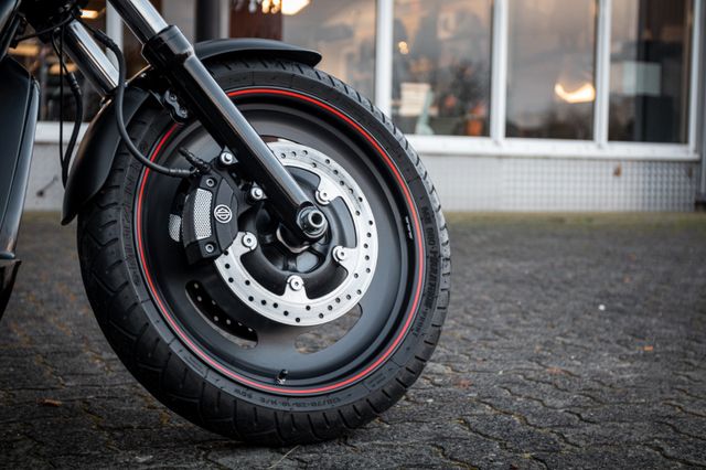Fahrzeugabbildung Harley-Davidson NIGHT ROD SPECIAL VRSCDX - HECKUMBAU - PENZL