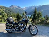 Harley-Davidson FXDC Dyna Super Glide Custom  - HARLEY-DAVIDSON DYNA CUSTOM