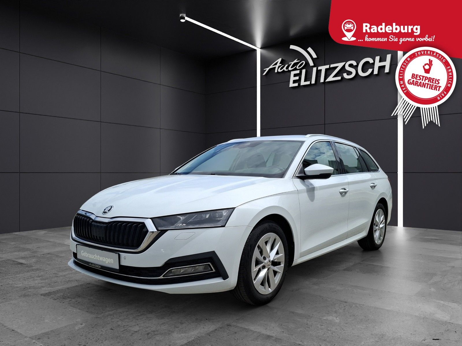 Fahrzeugabbildung SKODA Octavia Combi TDI First-Edition DSG Matrix AHK N