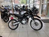 Yamaha XT125  - YAMAHA XT 125