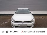 Volkswagen Golf VII 1.2 TSI Allstar *XENON*SHZ*ACC* - Volkswagen Golf in Bremen
