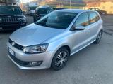 Volkswagen Polo tdi-completamente manutentata 16 - Volkswagen Polo: 16 TDI