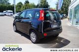 Fiat Panda Easy I Komfort-Paket I Allwetter I - gebrauchte Fiat Panda aus dem Jahr 2019